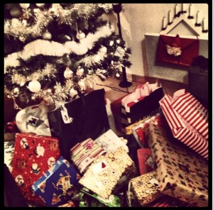 Mon Noël en photos!